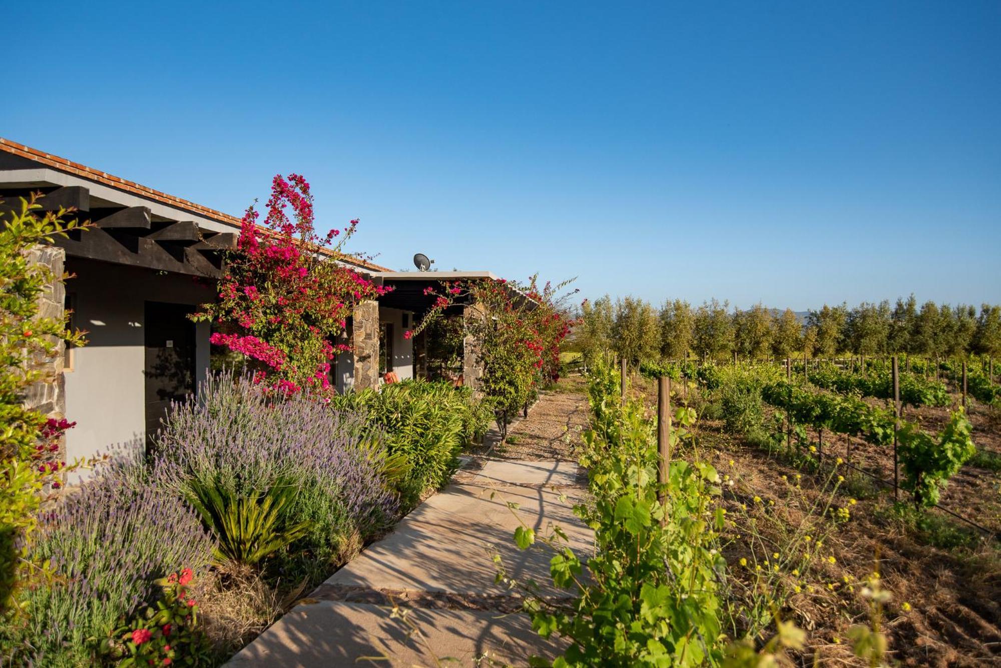 Hotel Atika Retreat à Valle de Guadalupe Extérieur photo