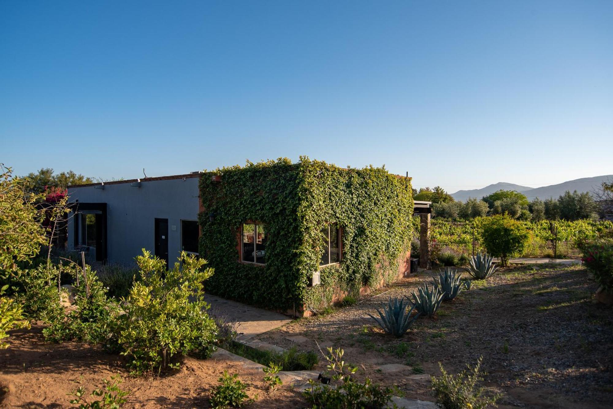 Hotel Atika Retreat à Valle de Guadalupe Extérieur photo